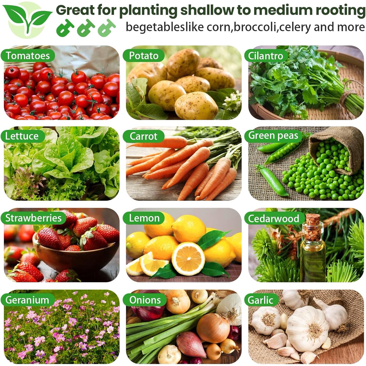 BN-LINK 6×3×2 ft Raised Garden Bed Kit, Rectangular Galvanized Metal Planter Garden Boxes Outdoor, Large Garden Beds for Vegetables Flowers, Easy DIY and Cleaning