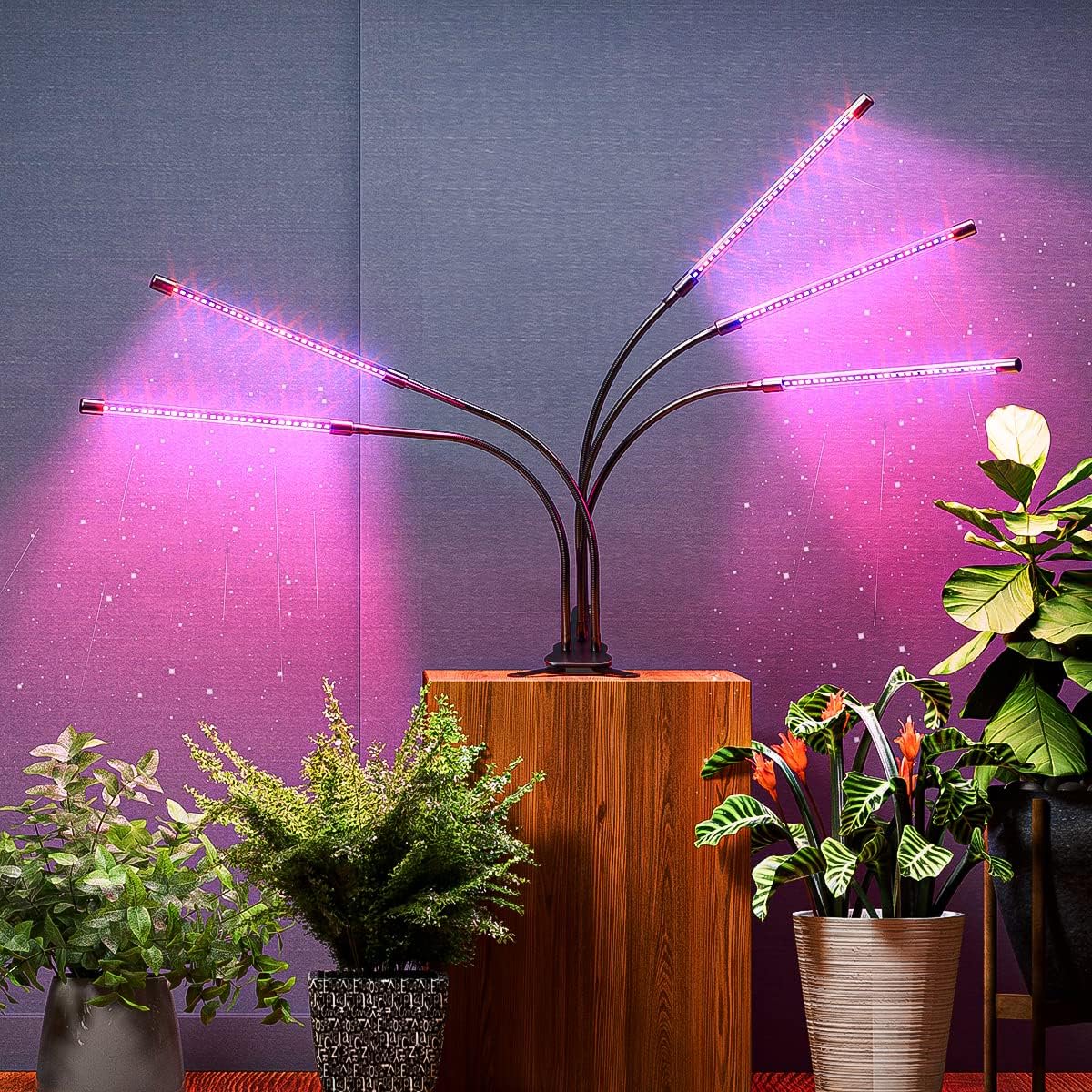 BN-LINK LED Grow Lights for Indoor Plants, Grow Light Full Spectrum Auto ON/Off with 3/9/12H Timer, 5 Heads Clip On Plant Grow Light with 9 Dimmable Brightness