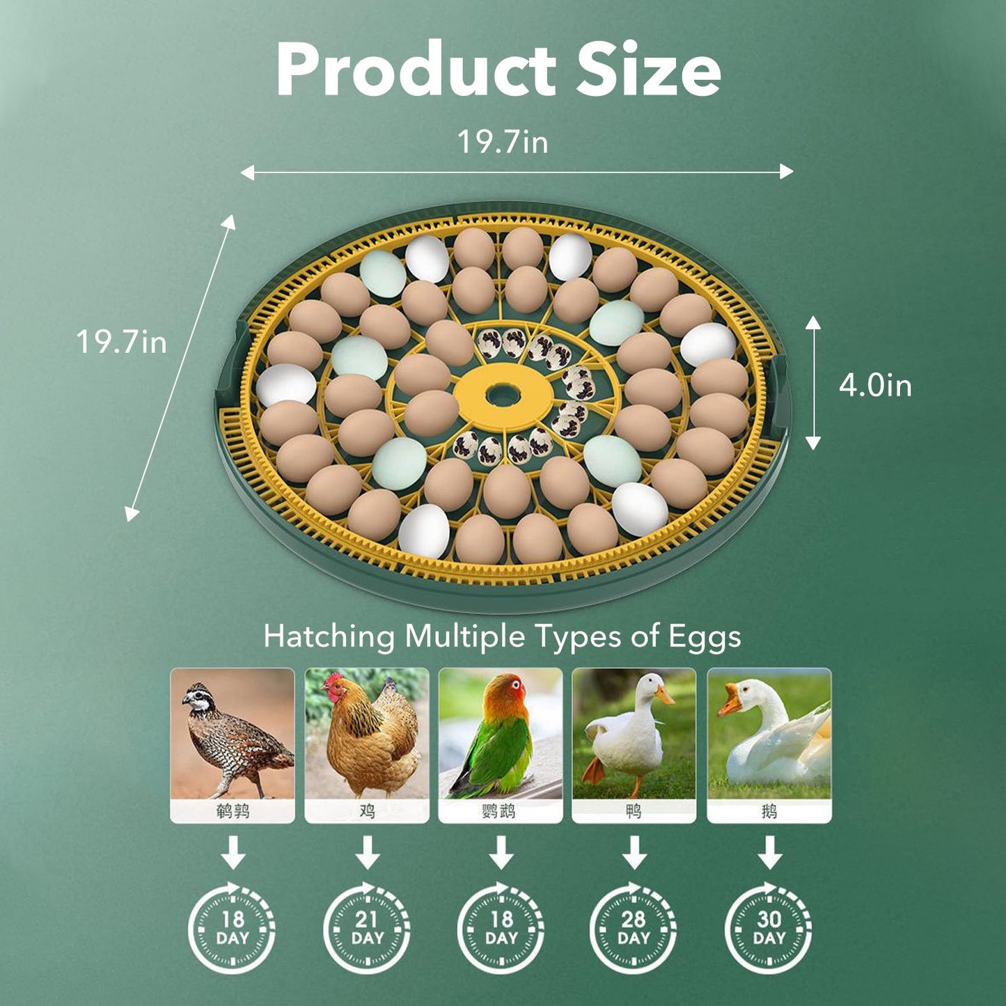 BN-LINK 52 Egg Incubator with Automatic Egg Turning and Temperature Control, Smart Egg Incubator with Humidity Display, LED Candler & Sink, Hatching Chicken Duck Quail Bird