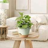 Behome Set of 5 Plant Pots, 5/5.5/6/6.5/7 Inch Indoor Self Watering Planters with Drainage Holes and Saucers, Modern Decorative Planter Pot for All House Plants, Green