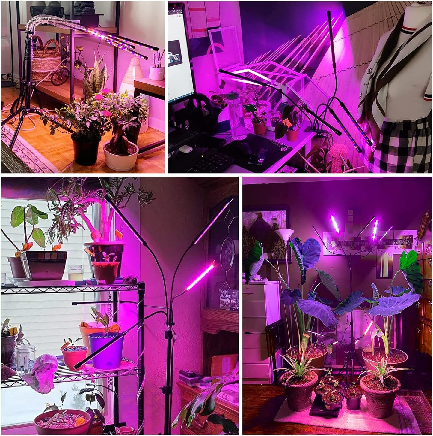 Behome 5 Heads Grow Light for Indoor Plants, Full Spectrum Plant Light with Adjustable Stand, Grow Lamp with Auto ON/Off Timer, 3 Light Modes & 10 Dimmable Brightness