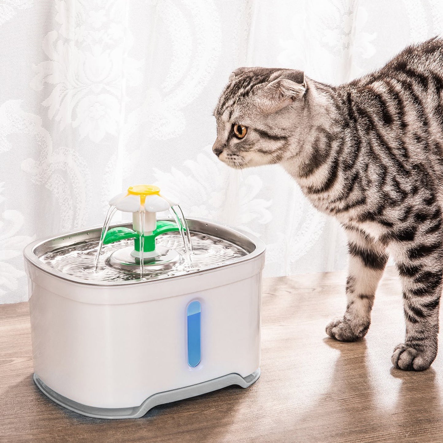 Behome 84oz/2.5L Cat Water Fountain, Stainless Steel Pet Water Drinking Fountain for Cats & Dogs Indoor with Water Level Window & Led Light, Ultra Silent (White)
