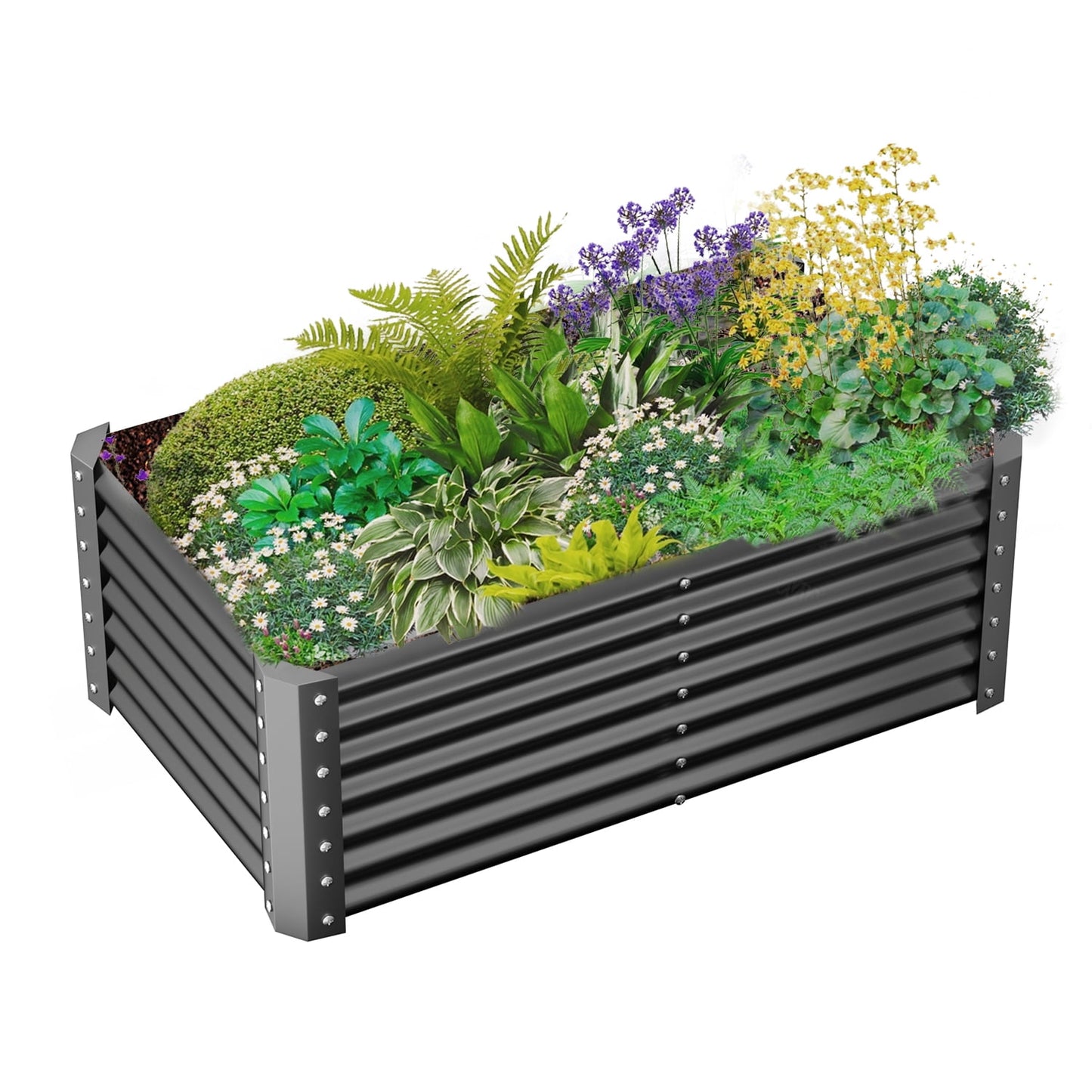 BN-LINK 6×3×2 ft Raised Garden Bed Kit, Rectangular Galvanized Metal Planter Garden Boxes Outdoor, Large Garden Beds for Vegetables Flowers, Easy DIY and Cleaning