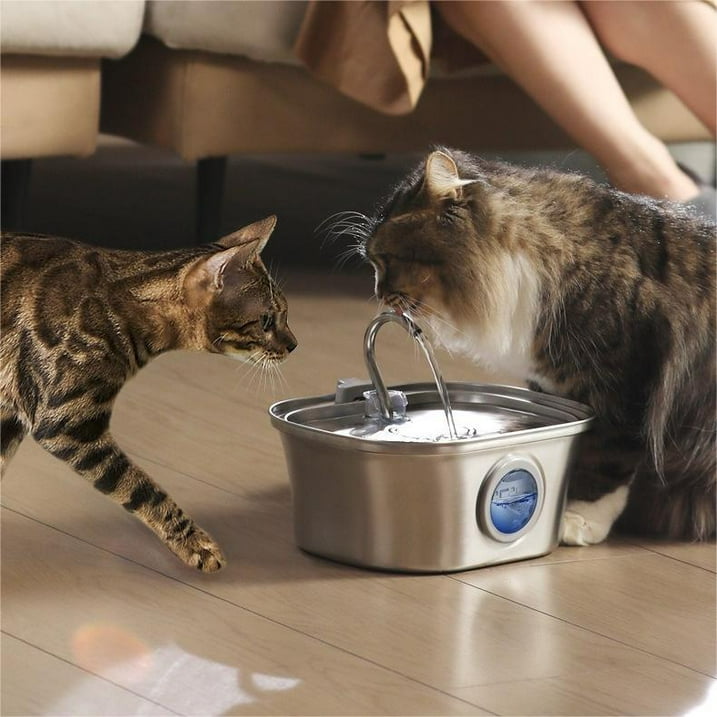 Behome 108oz/3.2L Cat Water Fountain Stainless Steel, Automatic Pet Water Dispenser with Replacement Filters for Cats, Dogs, Multiple Pets (Grey)