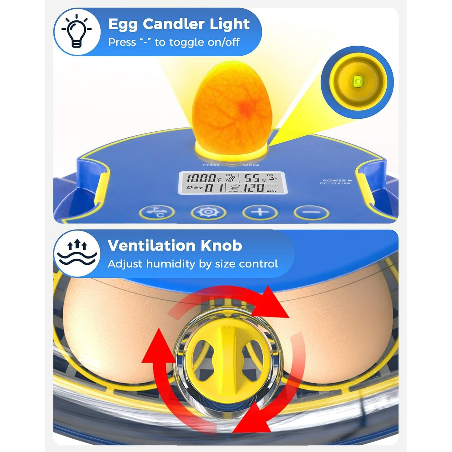 BN-LINK 18 Egg Incubator with Temperature Control, Automatic Egg Turning and Humidity Display, Auto Water Replenishment & 360 Degree View with Egg Candler, for Various Types of Eggs