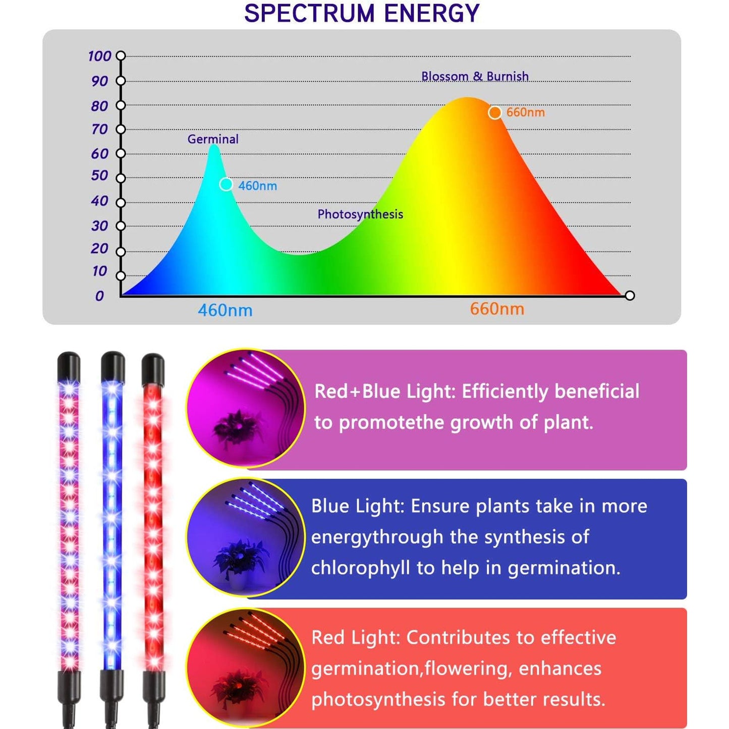 BN-LINK LED Grow Lights for Indoor Plants, Grow Light Full Spectrum Auto ON/Off with 3/9/12H Timer, 4 Heads Clip On Plant Grow Light with 9 Dimmable Brightness