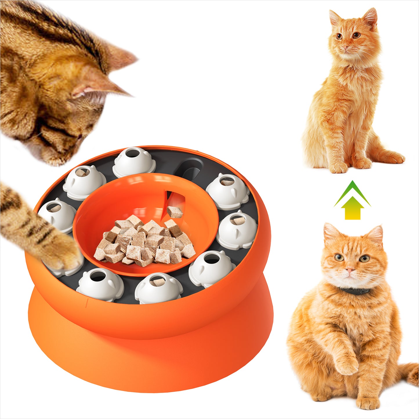 BN-LINK Interactive Cat Puzzle Feeder, Elevated Slow Feeder Bowl for Indoor Cats, Cat Enrichment Toy for Mental Stimulation and Boredom Relief