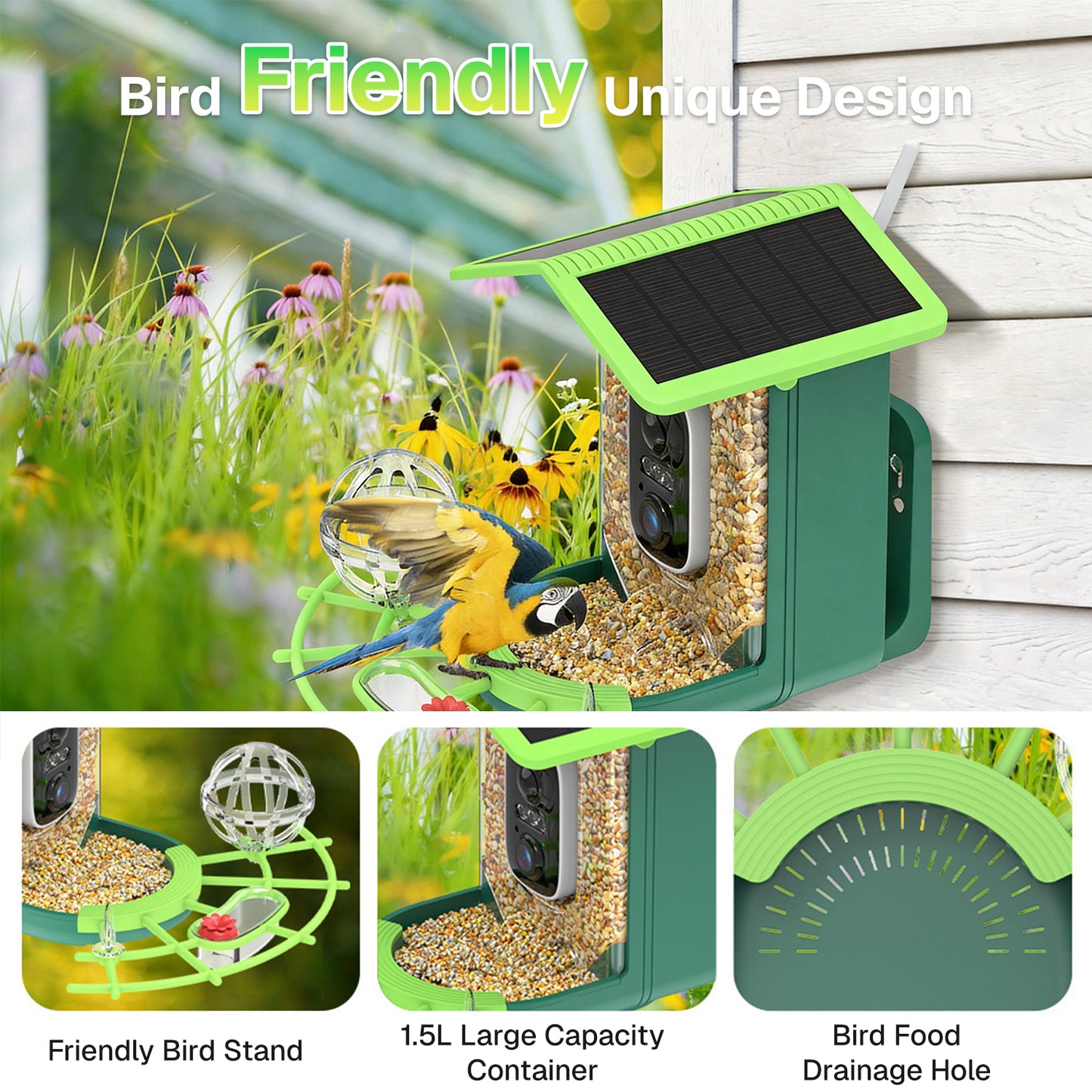 BN-LINK Bird Feeder with Camera,Smart Bird Feeder, 2K HD AI Identify Birds Species, Outdoor Bird Feeder with 3W Solar Panel, 1.5L Capacity,Green