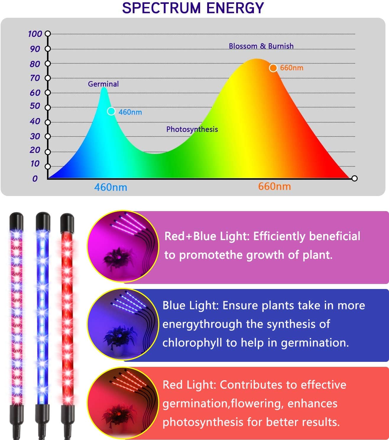 Behome 5 Heads Grow Light for Indoor Plants, Full Spectrum Plant Light with Adjustable Stand, Grow Lamp with Auto ON/Off Timer, 3 Light Modes & 10 Dimmable Brightness