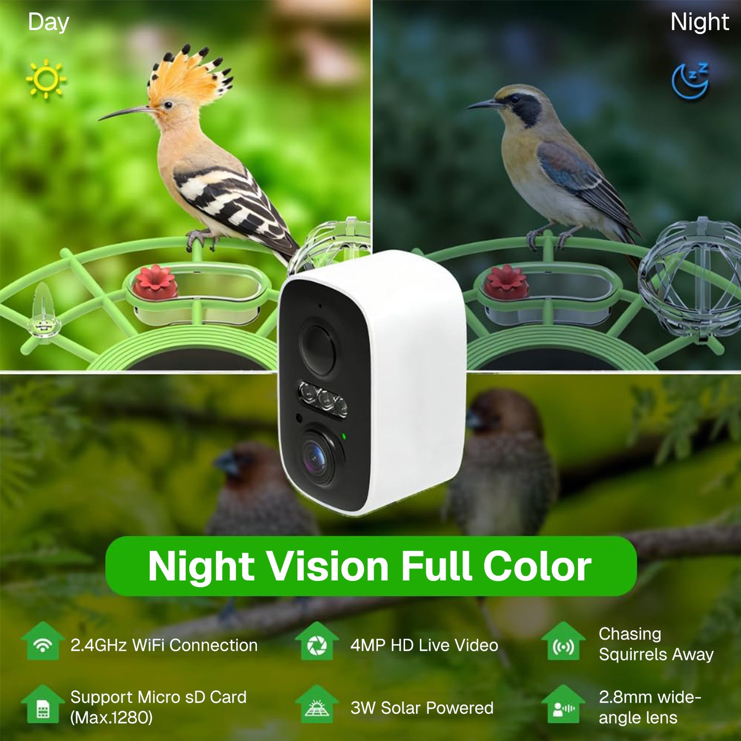 BN-LINK Bird Feeder with Camera,Smart Bird Feeder, 2K HD AI Identify Birds Species, Outdoor Bird Feeder with 3W Solar Panel, 1.5L Capacity,Green