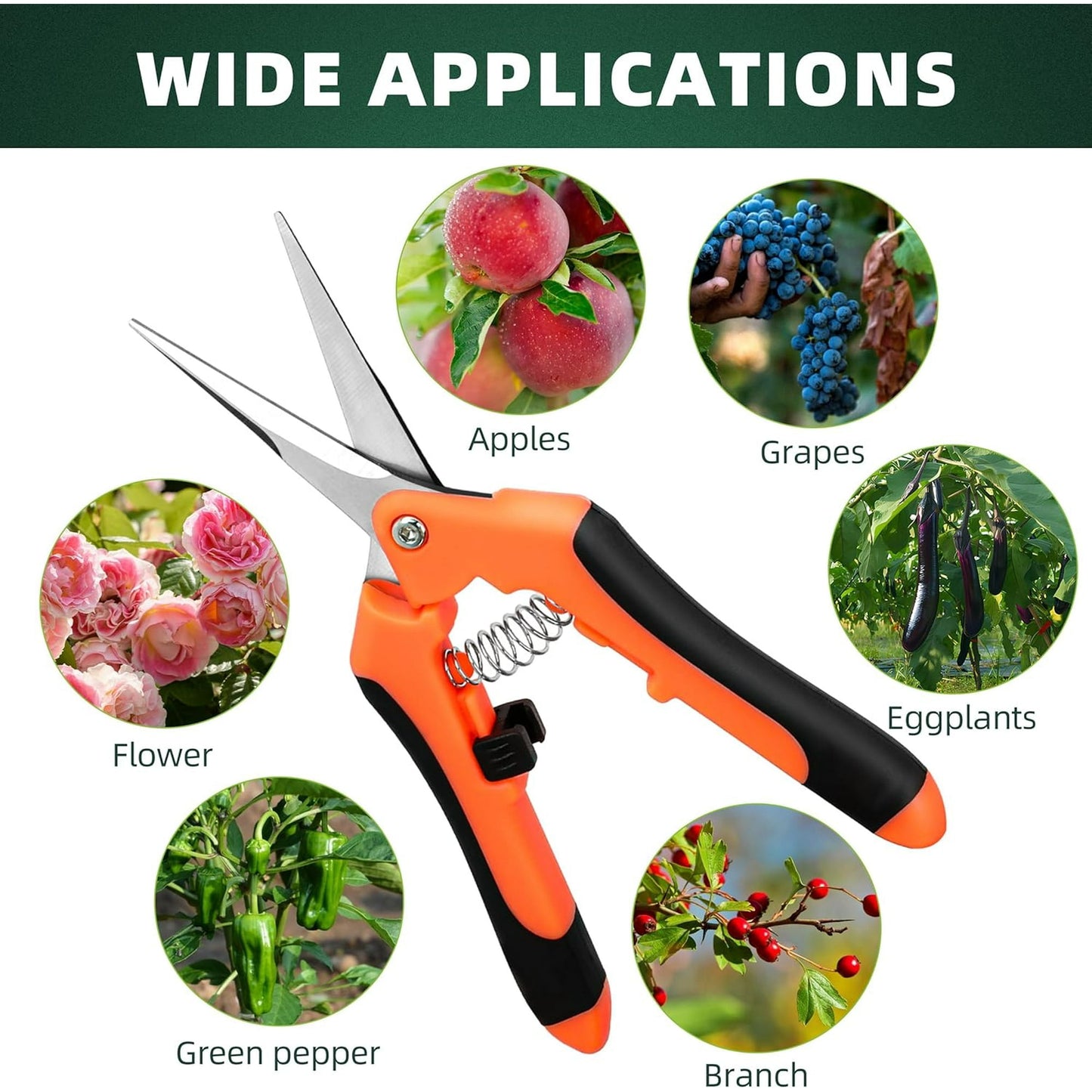 BN-LINK 4 Pack Garden Pruning Shears, Stainless Steel Handheld Scissors Set with Gardening Gloves, Heavy Duty Garden Bypass Pruning Shears,Tree Trimmers Secateurs