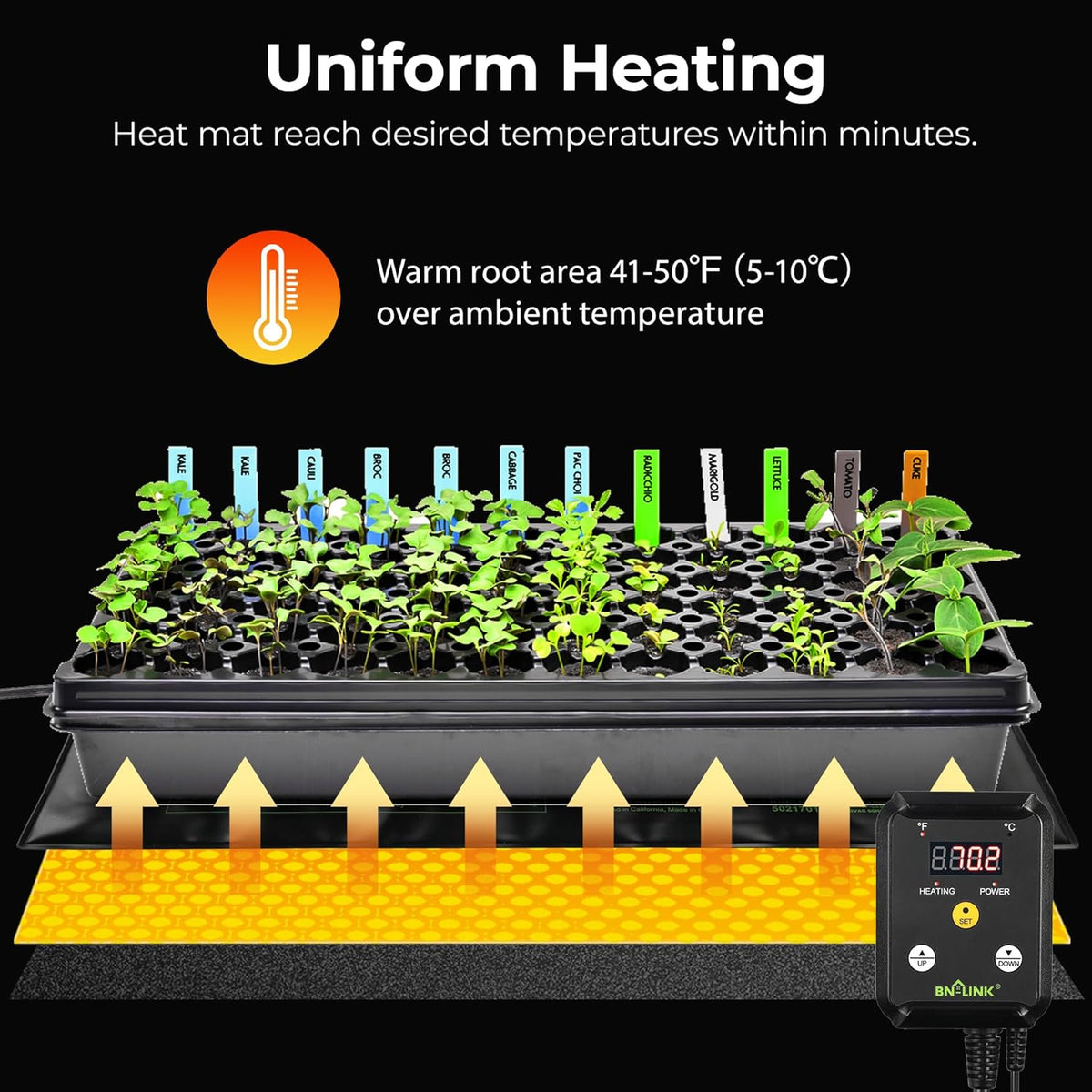 BN-LINK Seedling Heat Mat Heating Pad 10" x 20.75" with Digital Thermostat Controller Combo Set Waterproof for Indoor Seed Starting and Plant Germination