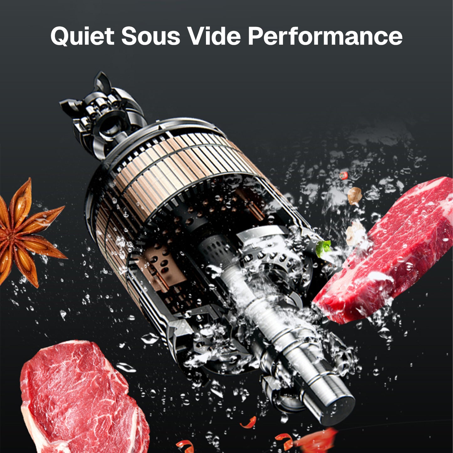 Behome Sous Vide Cooker Machine, Precision Cooker,1100W Immersion Circulator,Sous Vide Machines with Digital Touch Screen for Home Kitchen