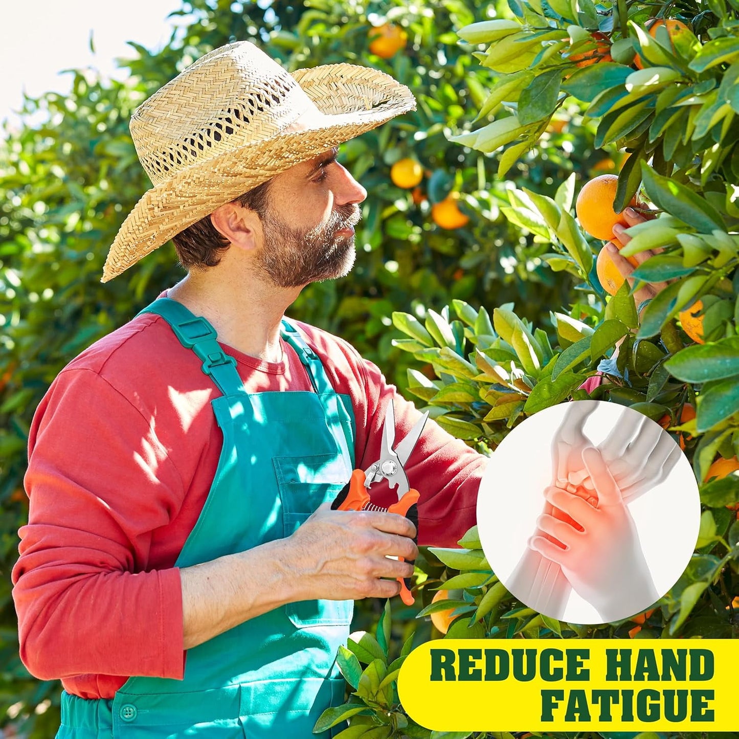 BN-LINK 4 Pack Garden Pruning Shears, Stainless Steel Handheld Scissors Set with Gardening Gloves, Heavy Duty Garden Bypass Pruning Shears,Tree Trimmers Secateurs