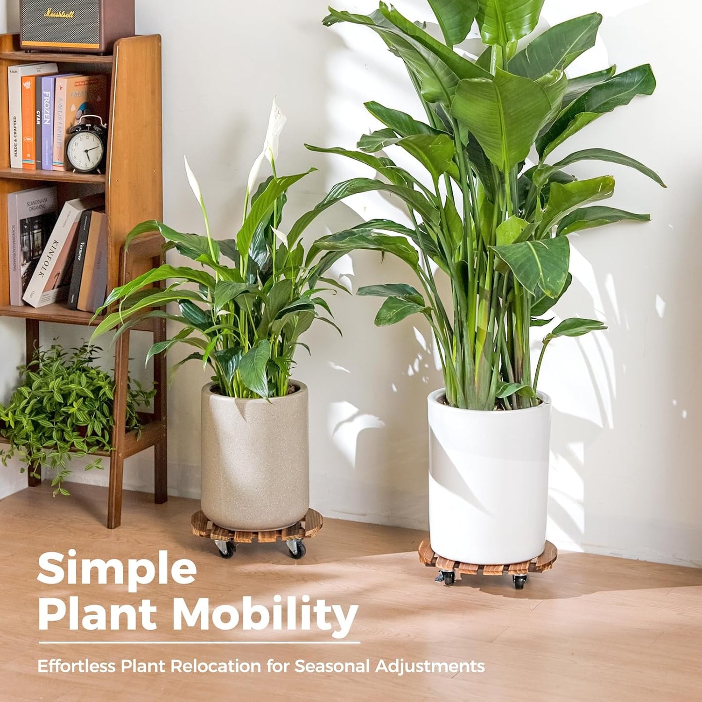 Behome 2 Pack 12" Plant Caddy with Wheels, Heavy Duty Wood Rolling Plant Stand with Lockable Wheels, 200 lb Capacity, Plant Dolly for Large Planters, Flower Pot, Heavy Objects Hauling