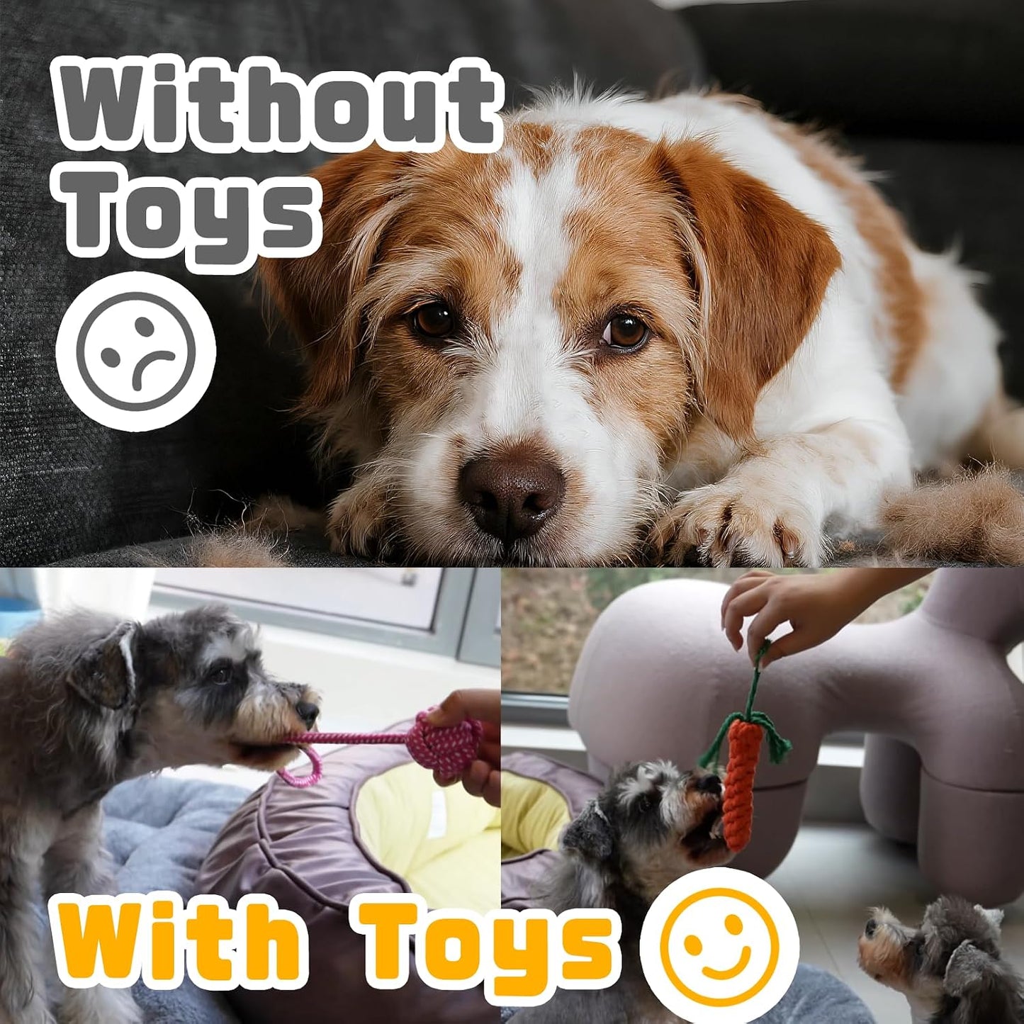BN-LINK 10 Pack Dog Toys, Dog Chew Toys, Puppy Teething Toys with Tug of War and Rope Toys for Puppies and Small Dogs, Interactive Dog Toys for Boredom Relief
