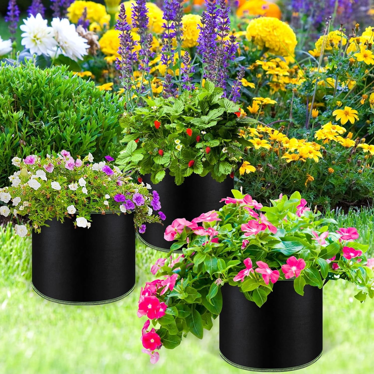 BN-LINK 5-Pack 10 Gallon Grow Bags with Handles, Thickened Nonwoven Fabric Pots Heavy Duty Aeration Fabric Pots Plant or Fruits Flowers Plant