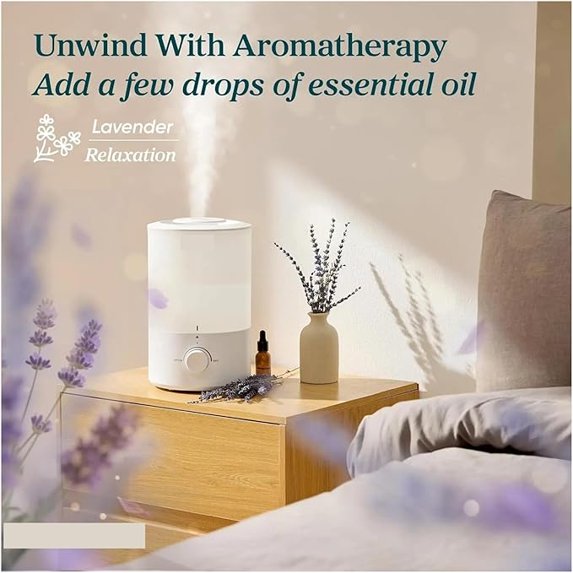 3 L Humidifiers Humidifiers for Bedroom